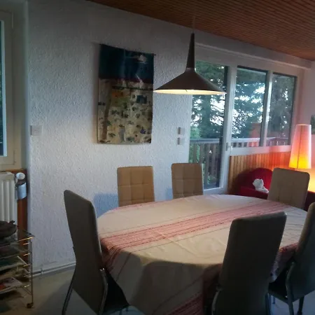 Panoramic 308 *