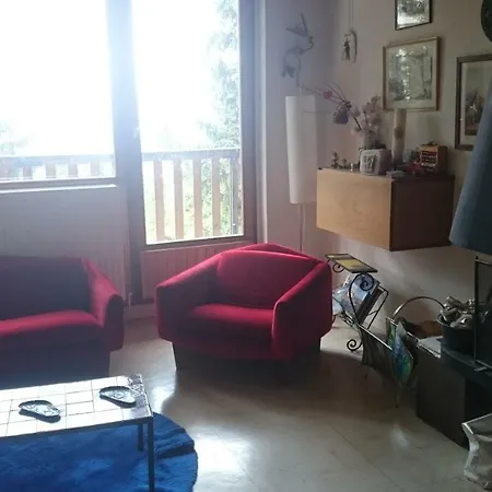 Panoramic 308