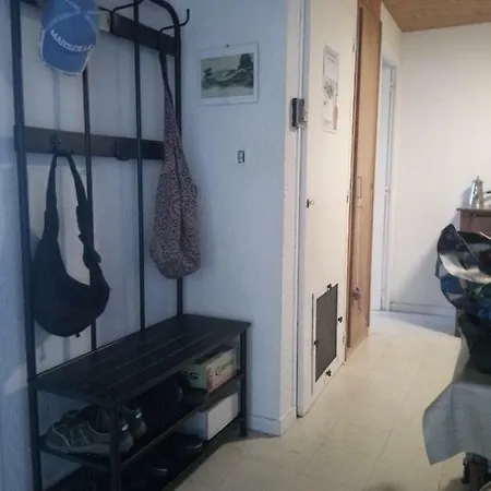 Panoramic 308 *
